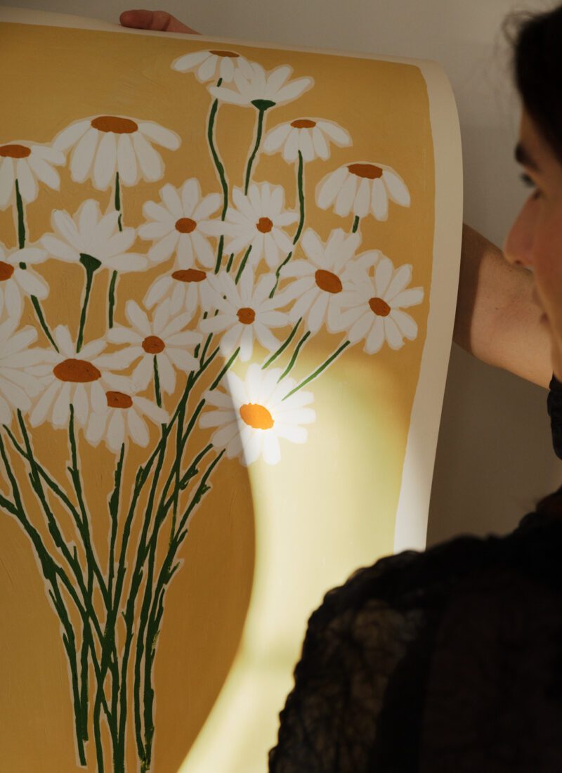 Carla Llanos - Daisies