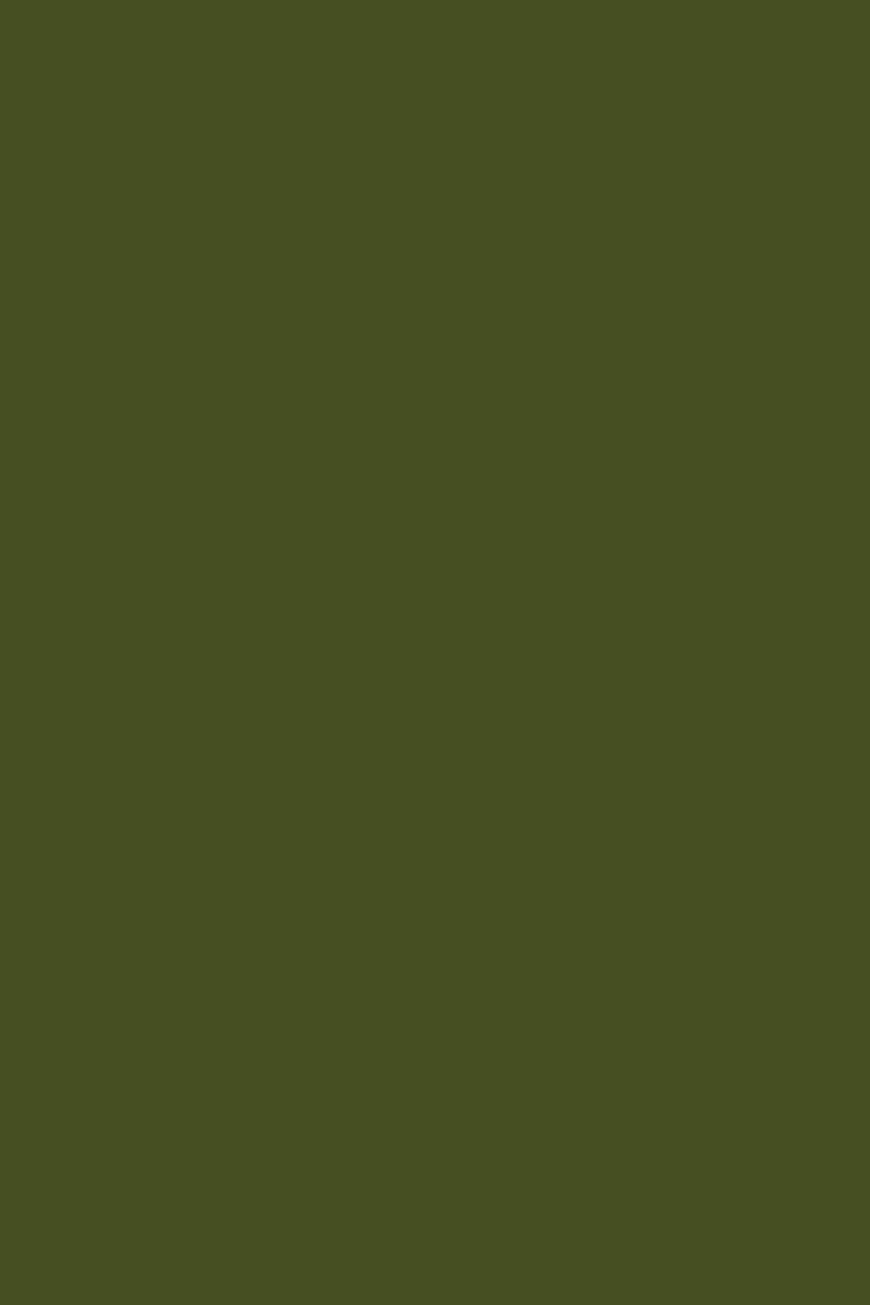 #color_olive