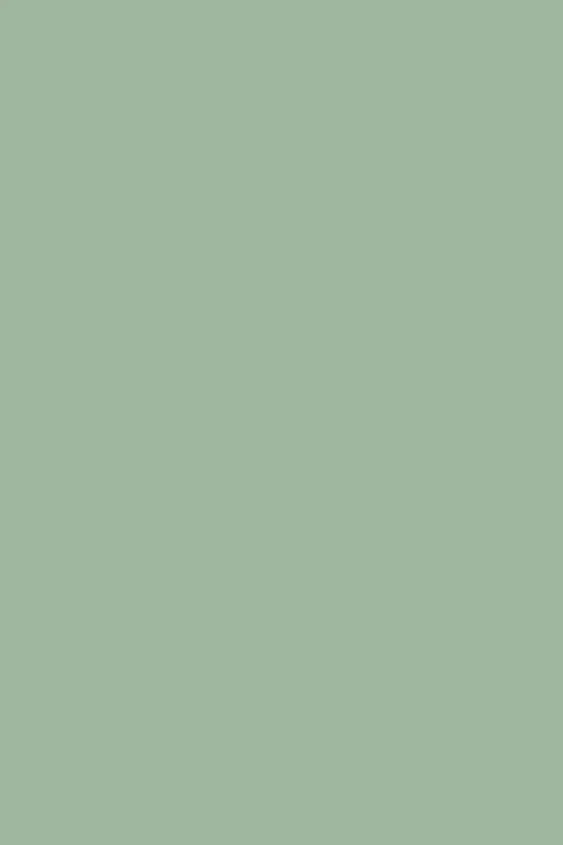 #color_sage