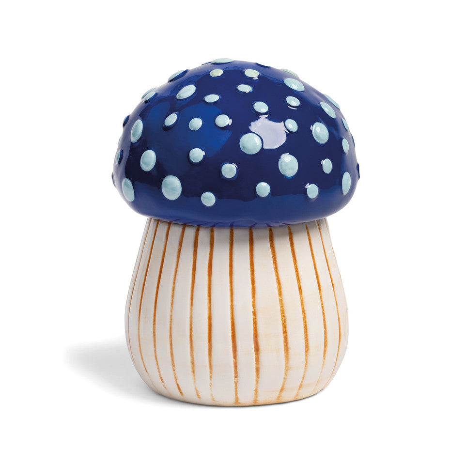 Jar magic mushroom medium