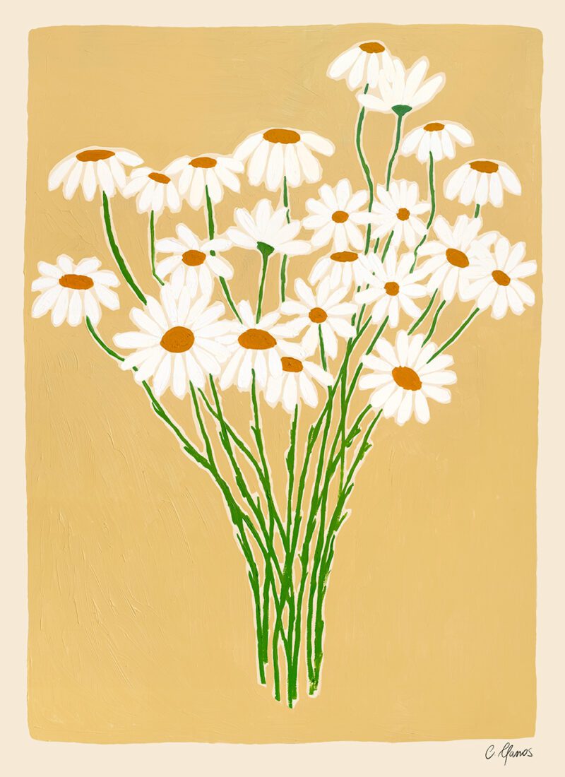 Carla Llanos - Daisies