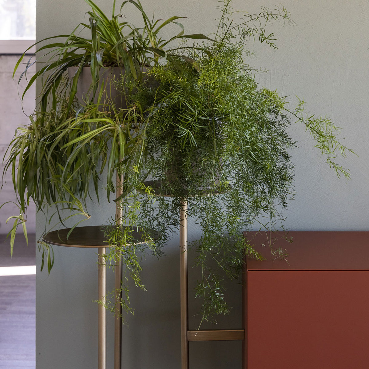 Mogg Ikebana Sideboard by Uto Balmoral